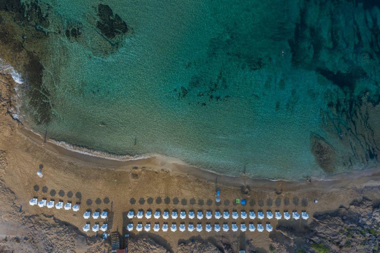 Venus Beach Hotel Paphos Exterior photo Aerial view of the beach