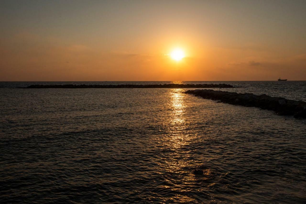 Venus Beach Hotel Paphos Exterior photo Sunset at the beach